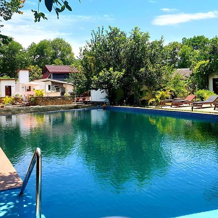 Bohemiaz Resort And Spa Kampot Dış mekan fotoğraf