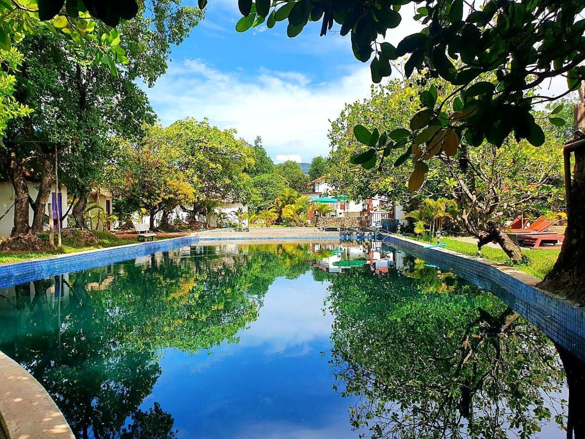 Bohemiaz Resort And Spa Kampot Dış mekan fotoğraf