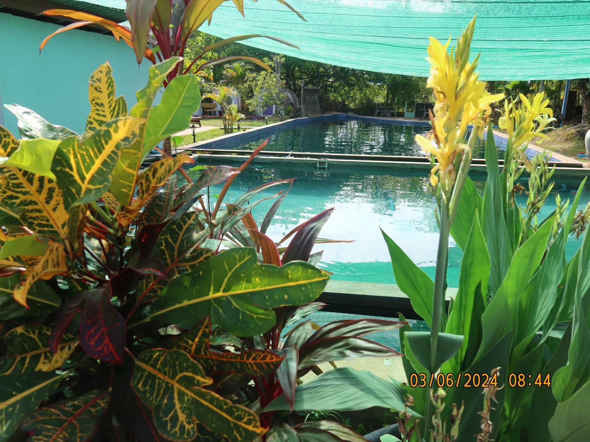 Bohemiaz Resort And Spa Kampot Dış mekan fotoğraf